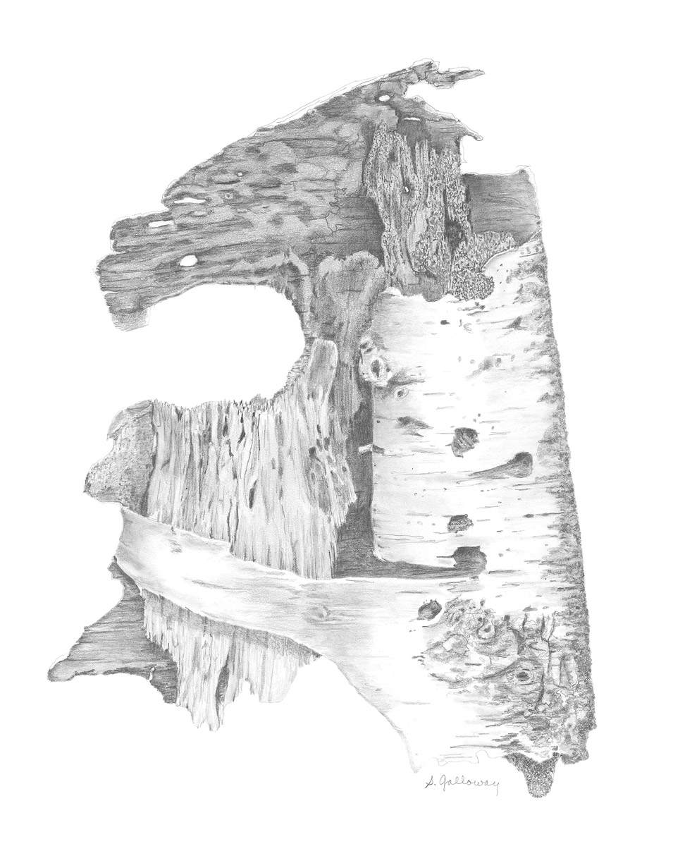 birch bark painting
